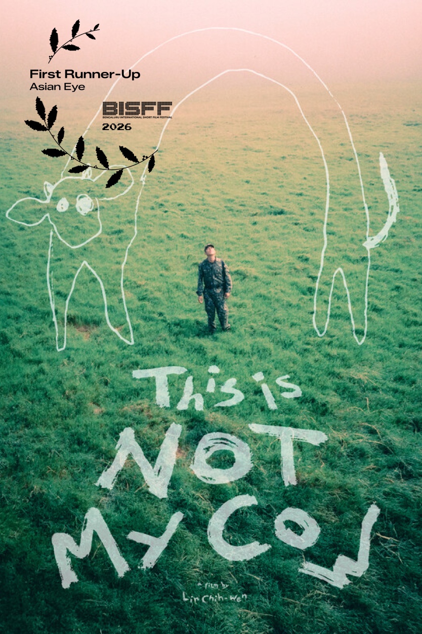 THIS IS NOT MY COW